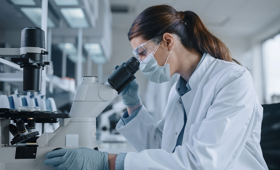 Jiangsu Sulong Eco-Technologies Co., Ltd.